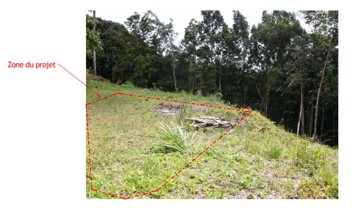 architecte conception guadeloupe