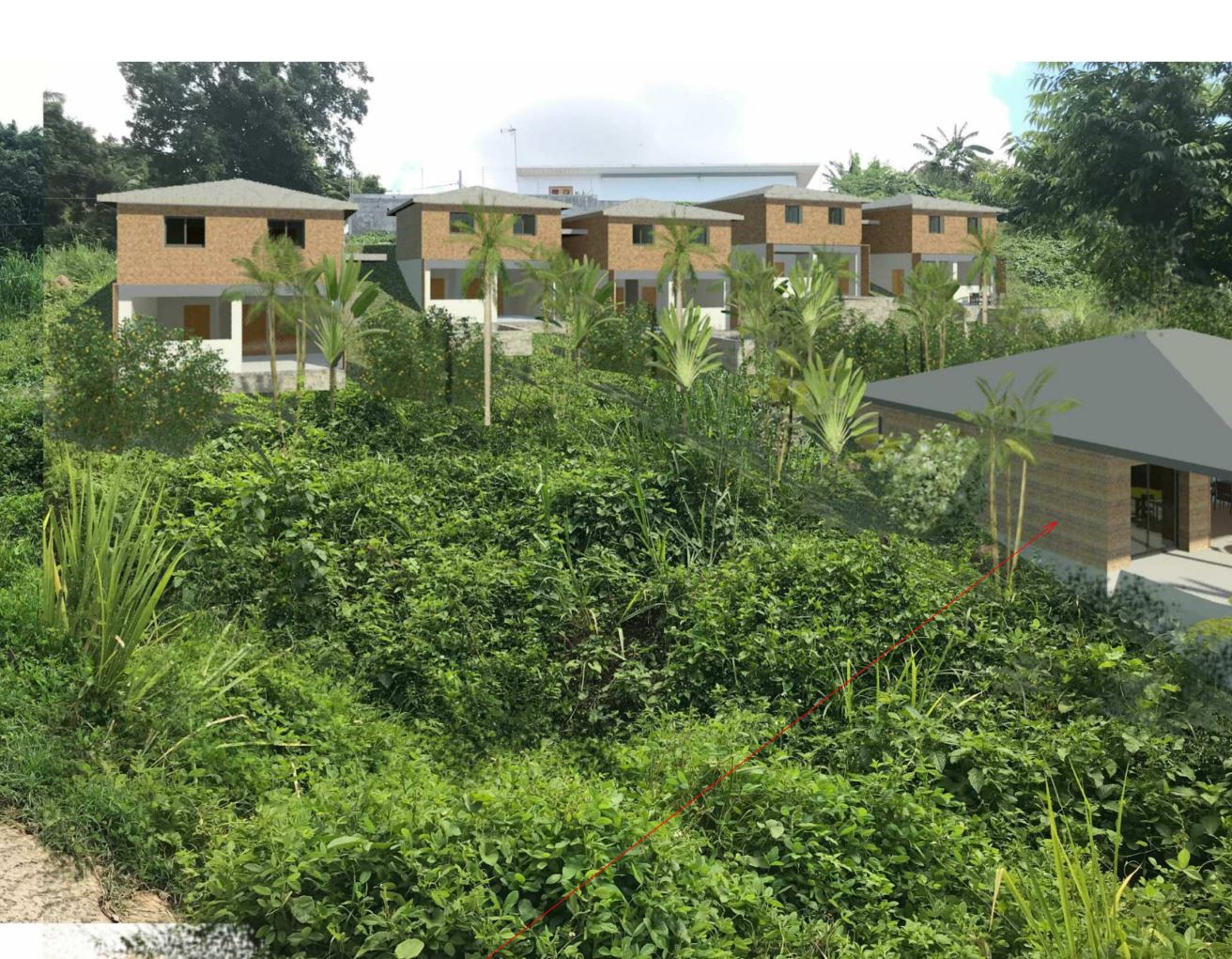 architecte image satelitte guadeloupe