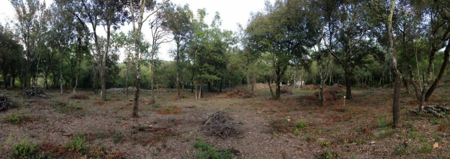 architecte image terrain montauroux