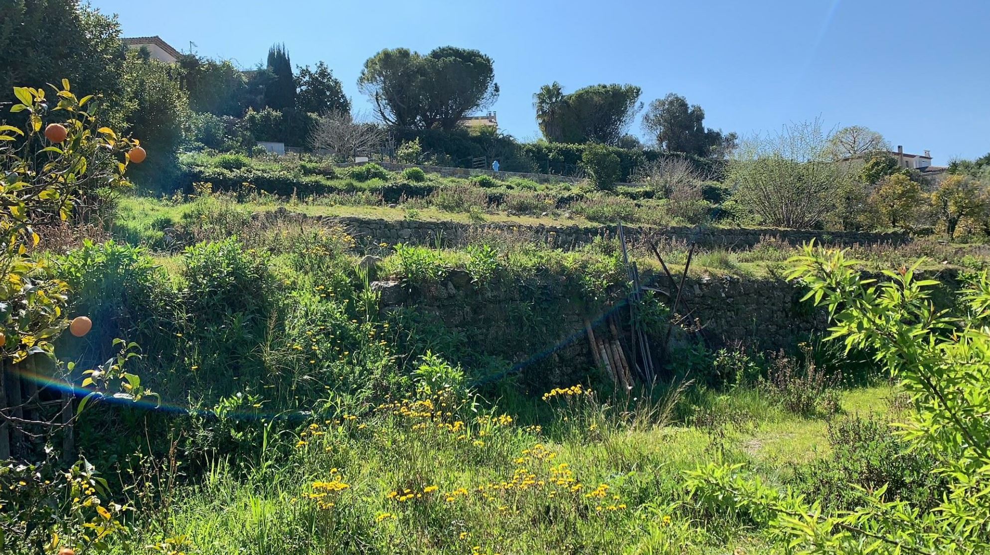 architecte vallauris