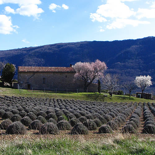 architecte alpes de haute provence