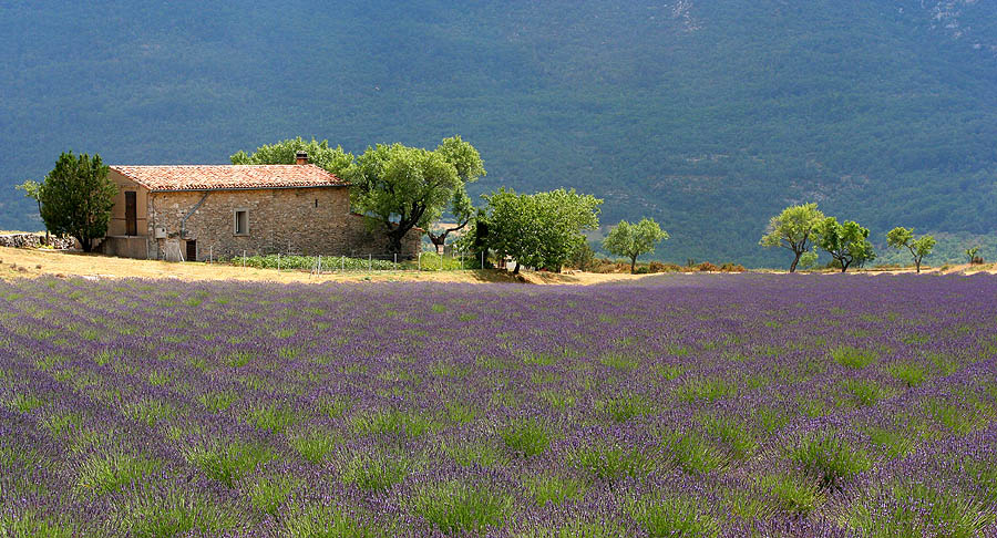 architecte provence