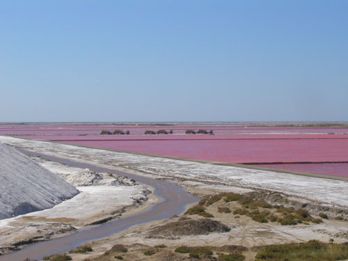 architecte salin de giraud