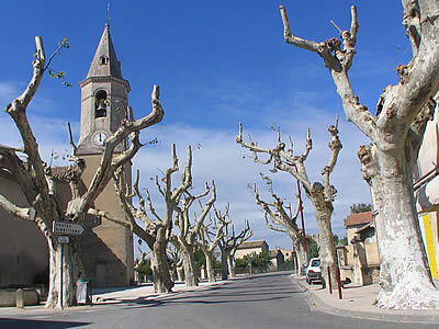 architecte cheval blanc