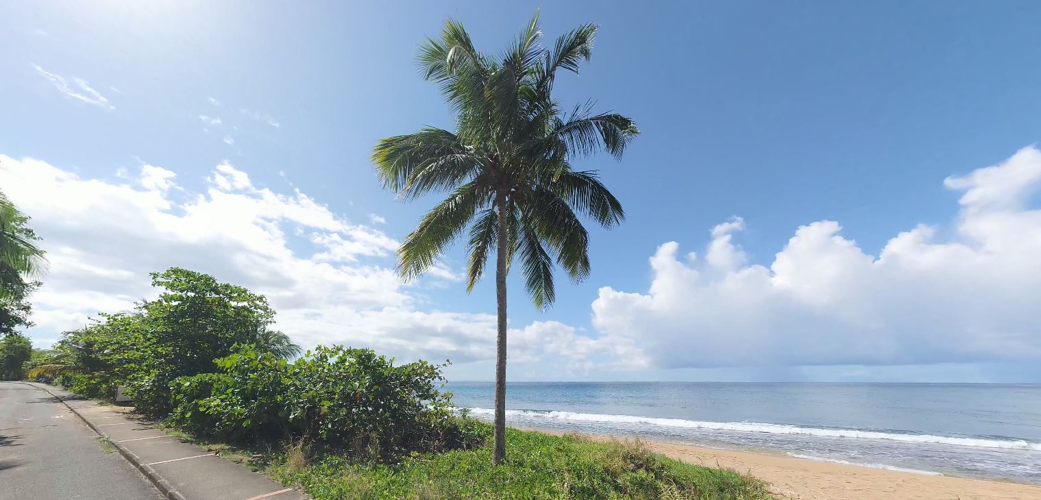 architecte-departements-et-terrictoires-d-outre-mer-drom-com