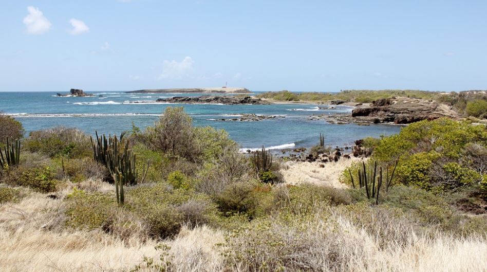 architecte-departements-et-terrictoires-d-outre-mer-drom-com